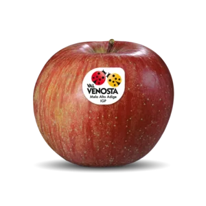 منتجات معلبة