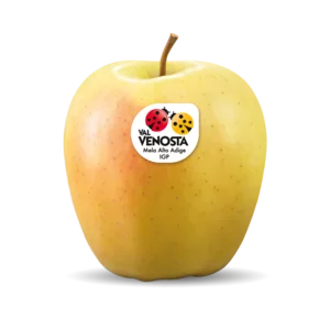 منتجات غذائية